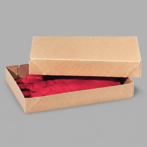 Kraft Apparel Boxes